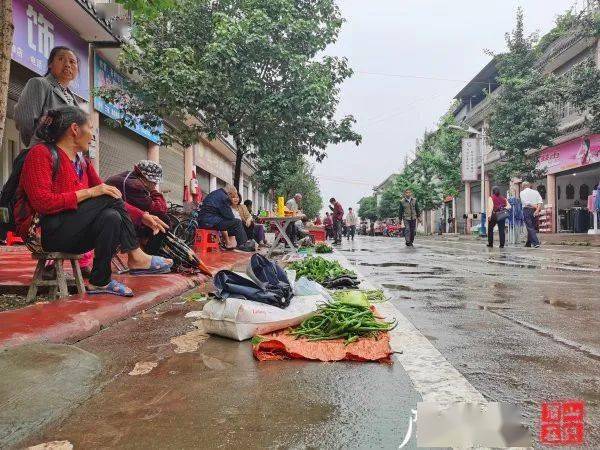 点名表扬!东坡区复兴镇长效治理方面效果明显,镇容镇貌秩序井然