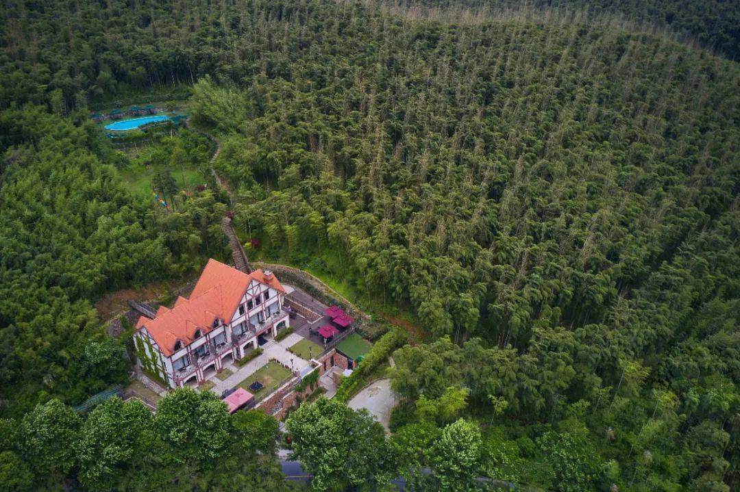 杭州仅1小时50亩竹海私藏南法庄园承包整座山野亲子度假王国