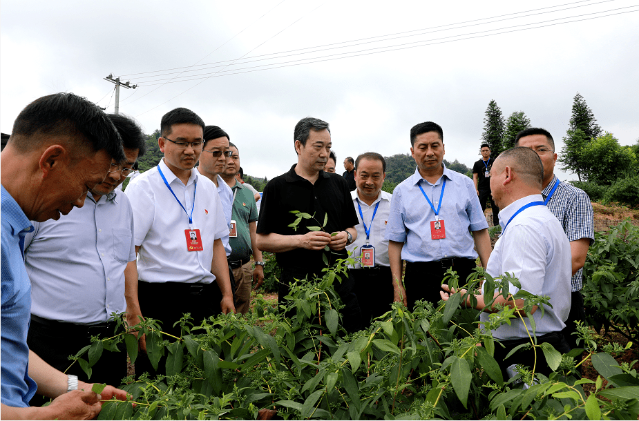 国家发改委农经司莅绥调研