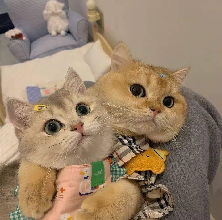 不烂大街的情侣头像