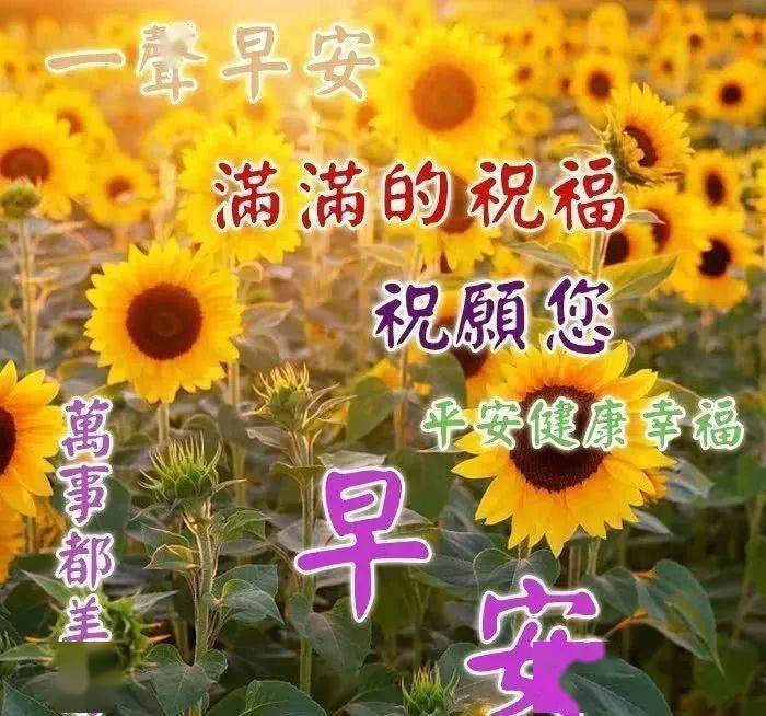 微信群發清晨祝福朋友早上好動態圖片帶字最新問候大家早上好的祝福