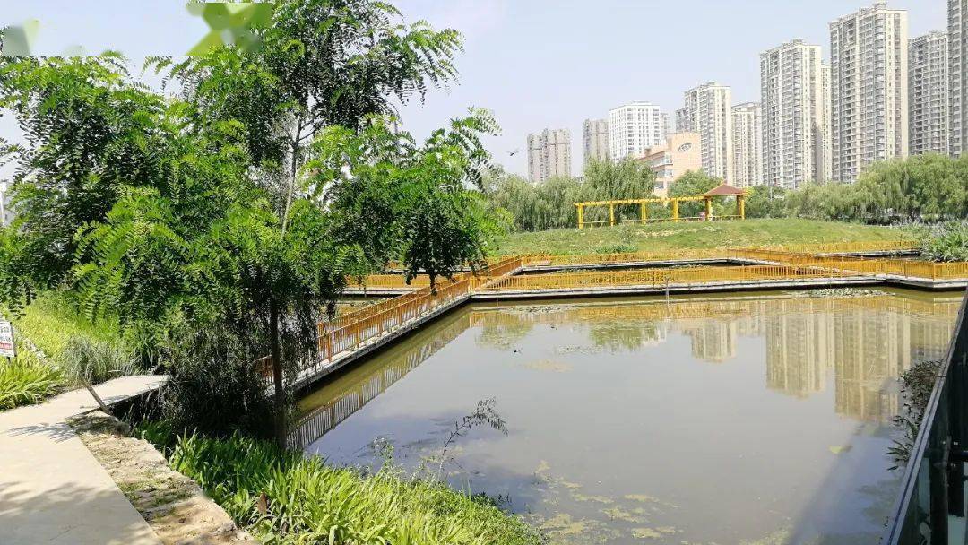 颍泉区泉水湾湿地公园总规划面积为487公顷,是坎河溜闸至颍泉闸之间的