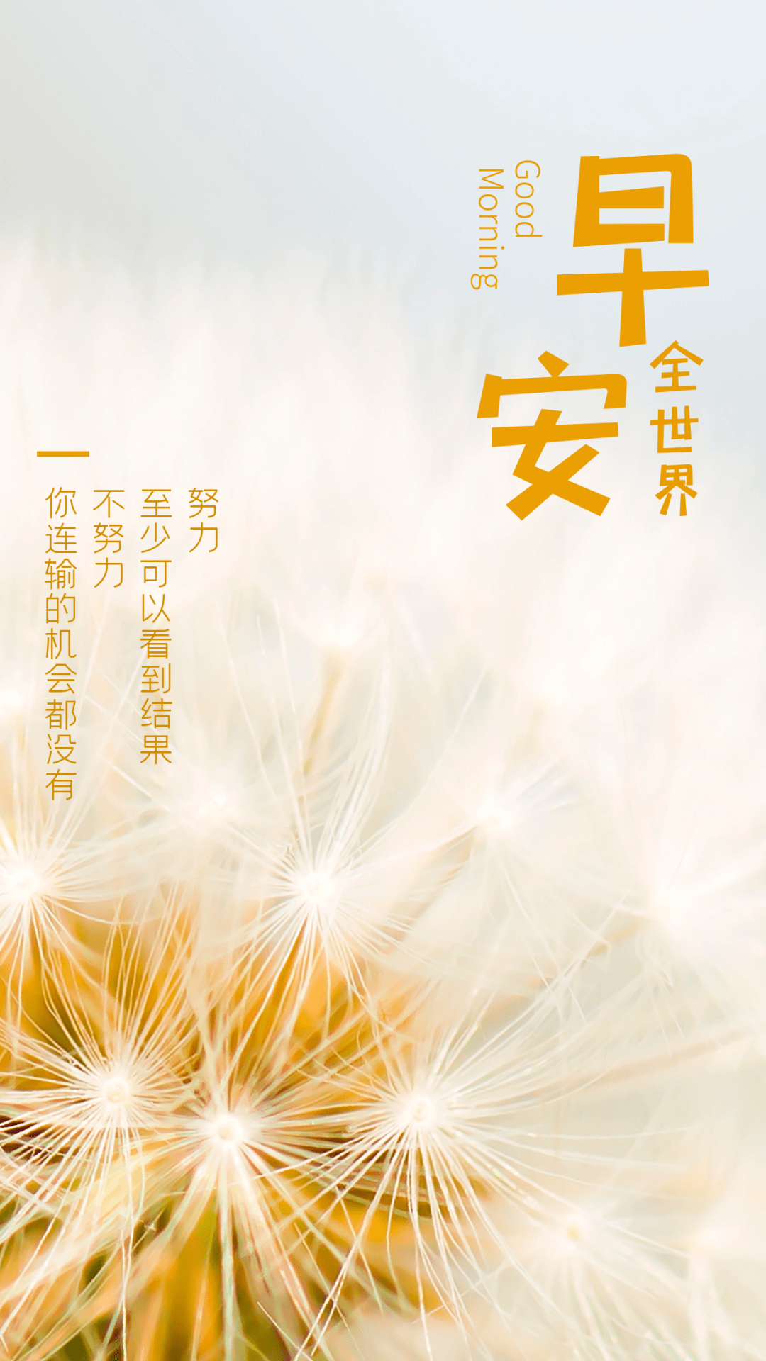 做人像水 做事像山 | 读书日签