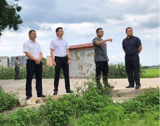 他们在桂平白沙镇开展调研…村民要发达啦!
