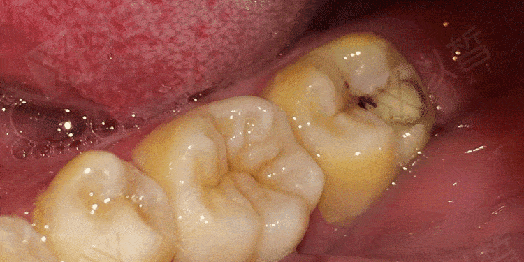 750_375gif 动态图 动图