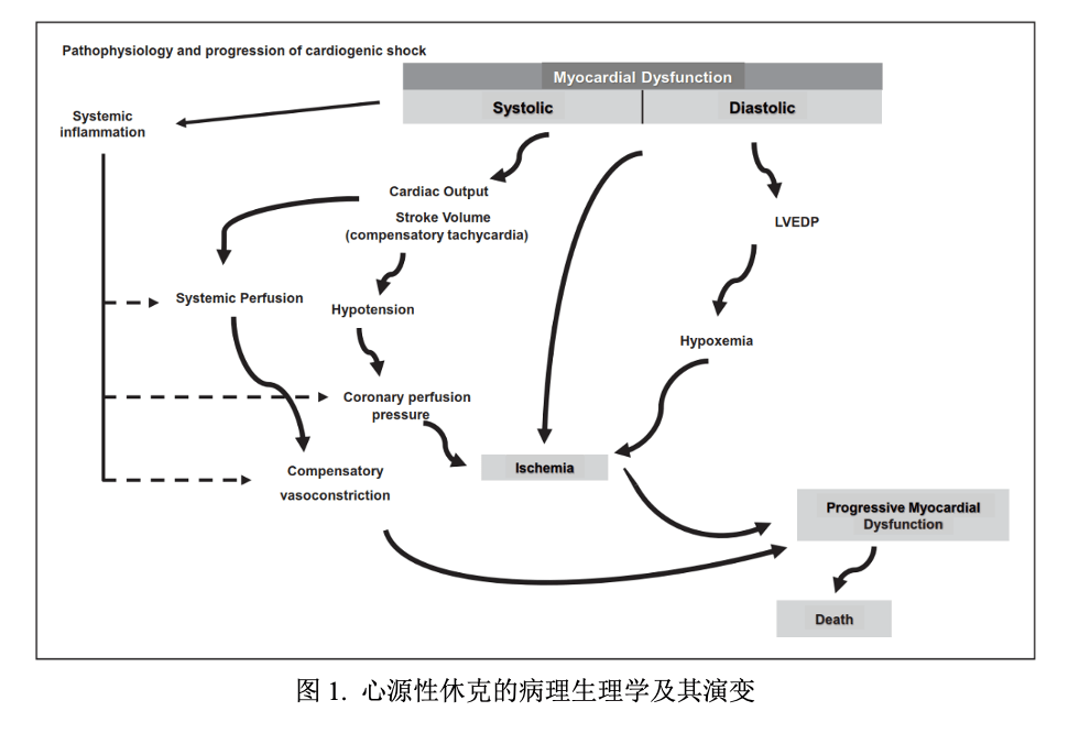 重症视角心源性休克的病理生理学