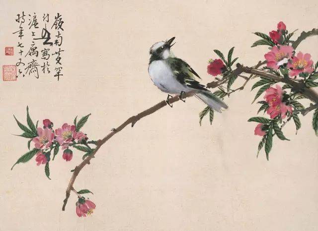 画鸟的技法秘诀,全是精华!-中国诗书画家网
