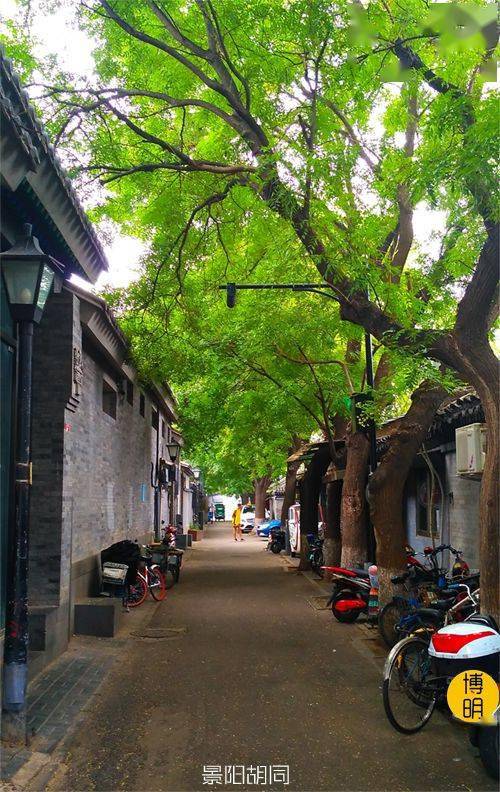 京城胡同里的探寻前乒乓球世界冠军庄则栋少儿时代的足迹