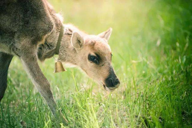 什么时候开始昼长 2af30392b0dc47ba946f3a847a717fb2.jpeg