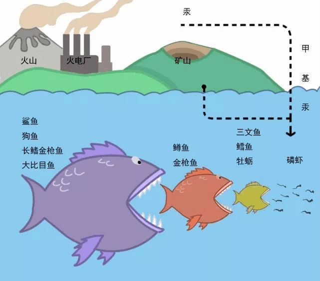 广东1岁男童体内长出活虫肝脏被咬穿这种好东西别喂孩子吃了