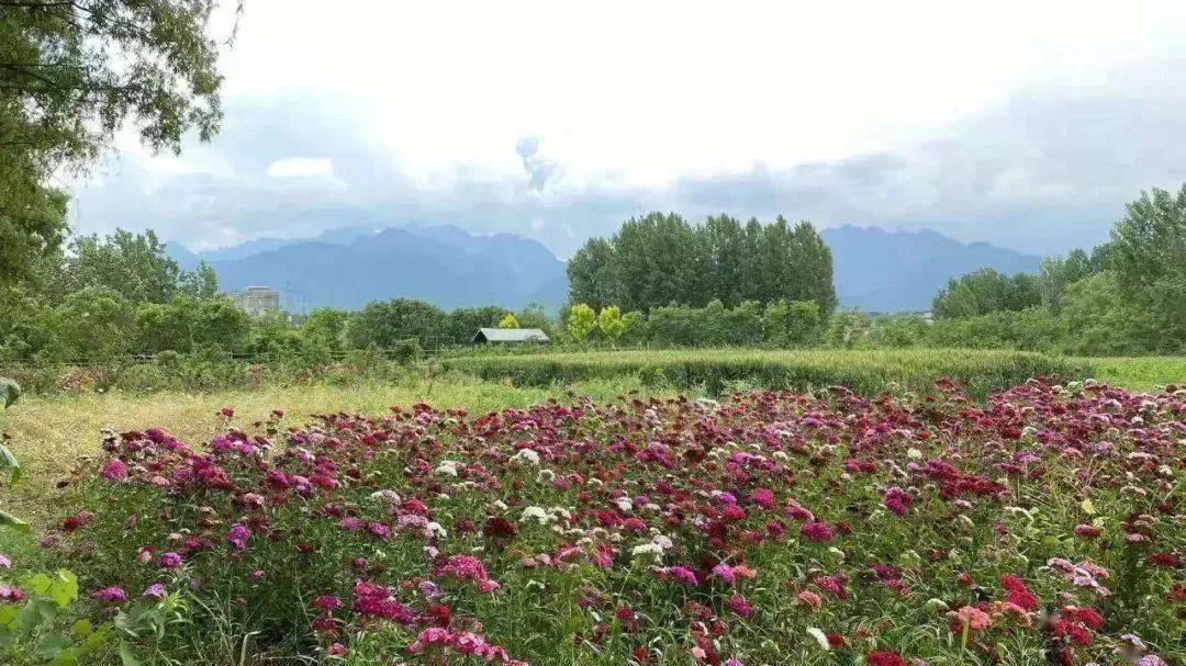 盤點農莊最受歡迎的18個低成本體驗項目