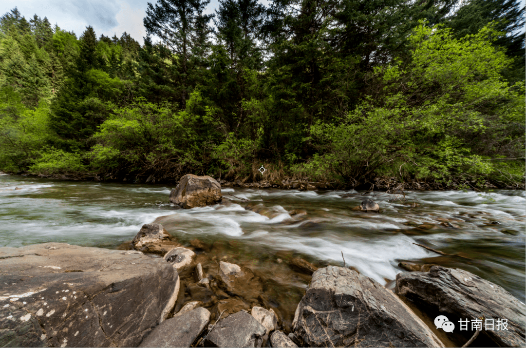 马晓娟内容来源 | 甘南日报主编 | 宁峰平审核|张 佳责编 | 龙小菲