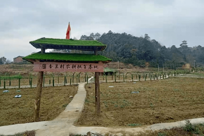 百年辉煌我心向党丨龙塘镇让绿富美的愿景变实景