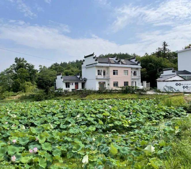 奕棋镇朱村:拾野生态乡村 静享夏日美好