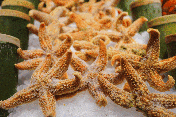 炙盈直接把"大海"搬到了南通人的餐桌 让大家感受一波纯粹的"海洋味道