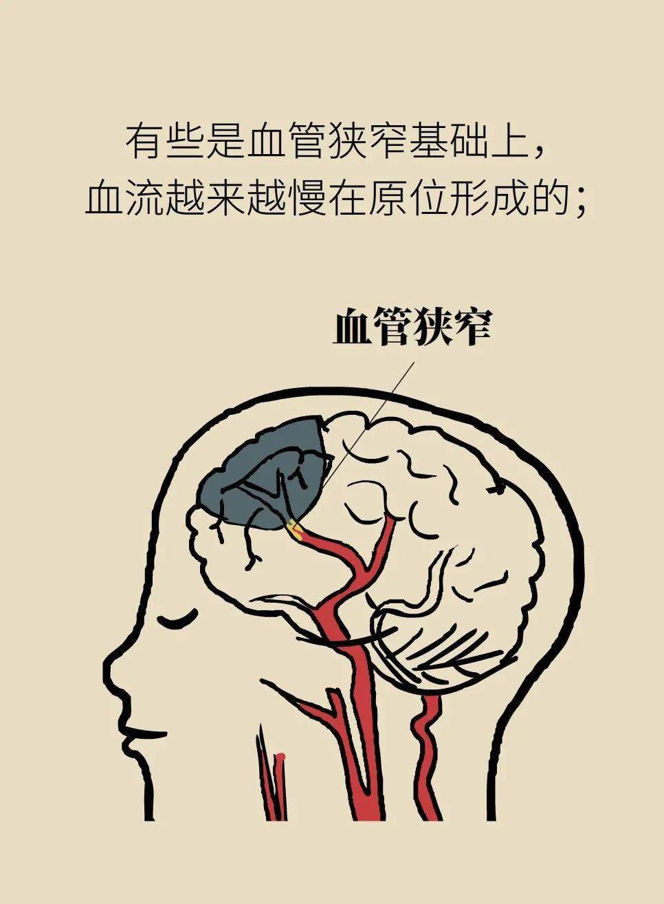 e4478aad5539436dab59cb92f14c60b3.jpeg