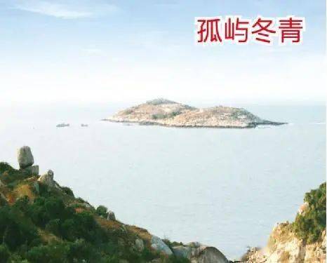 中国美丽休闲乡村泉州惠安县大岞村