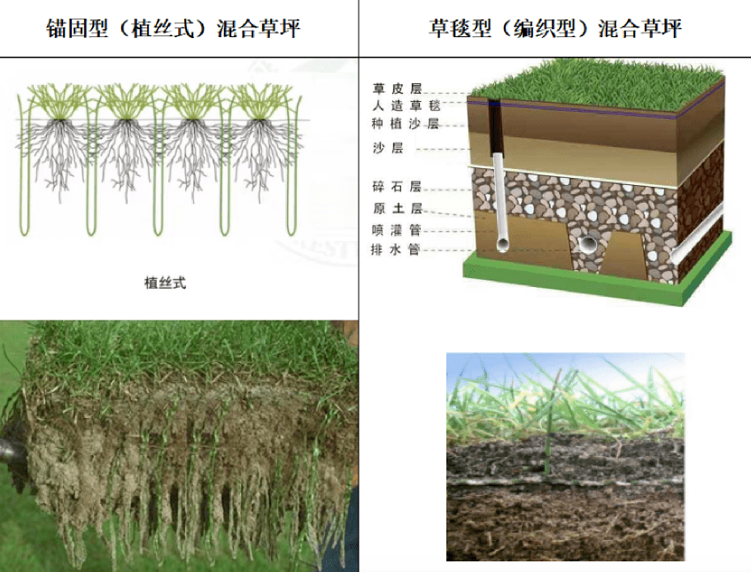 施工成本较高,不过由于这种草丝是孔洞结构的,利于水肥下渗,同时能