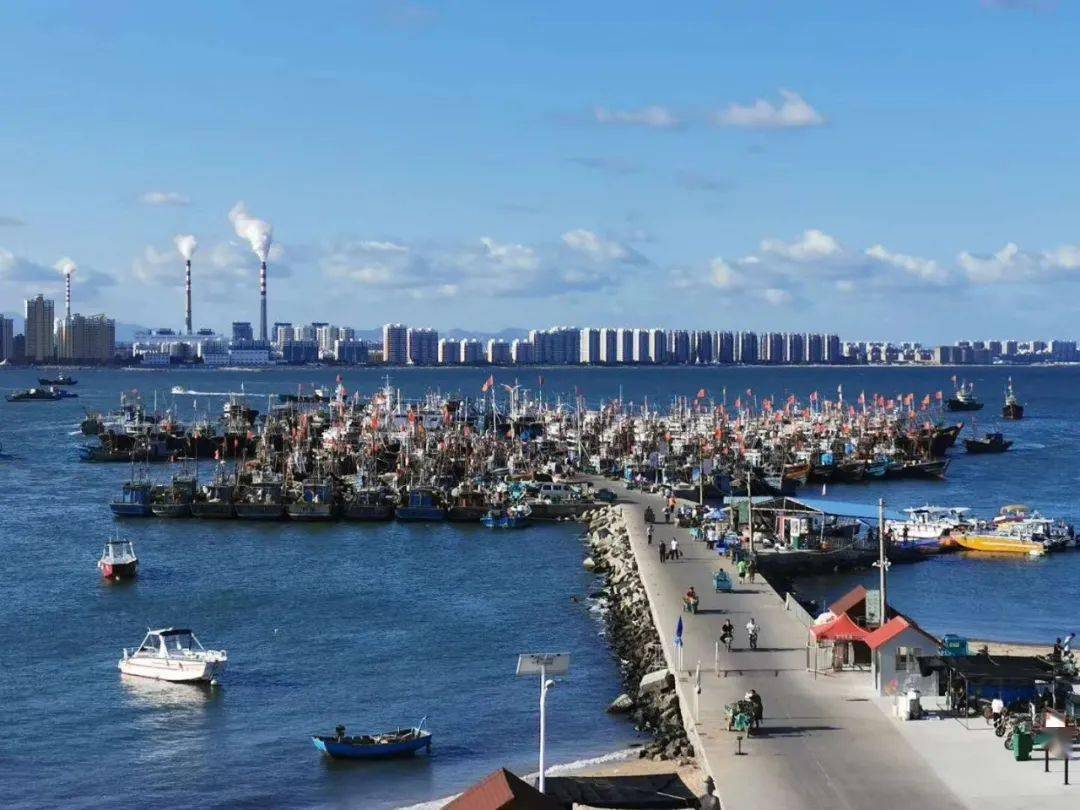 暑假第一期7月1011号探秘北方小马代龙口桑岛依岛纯玩亲子二日游