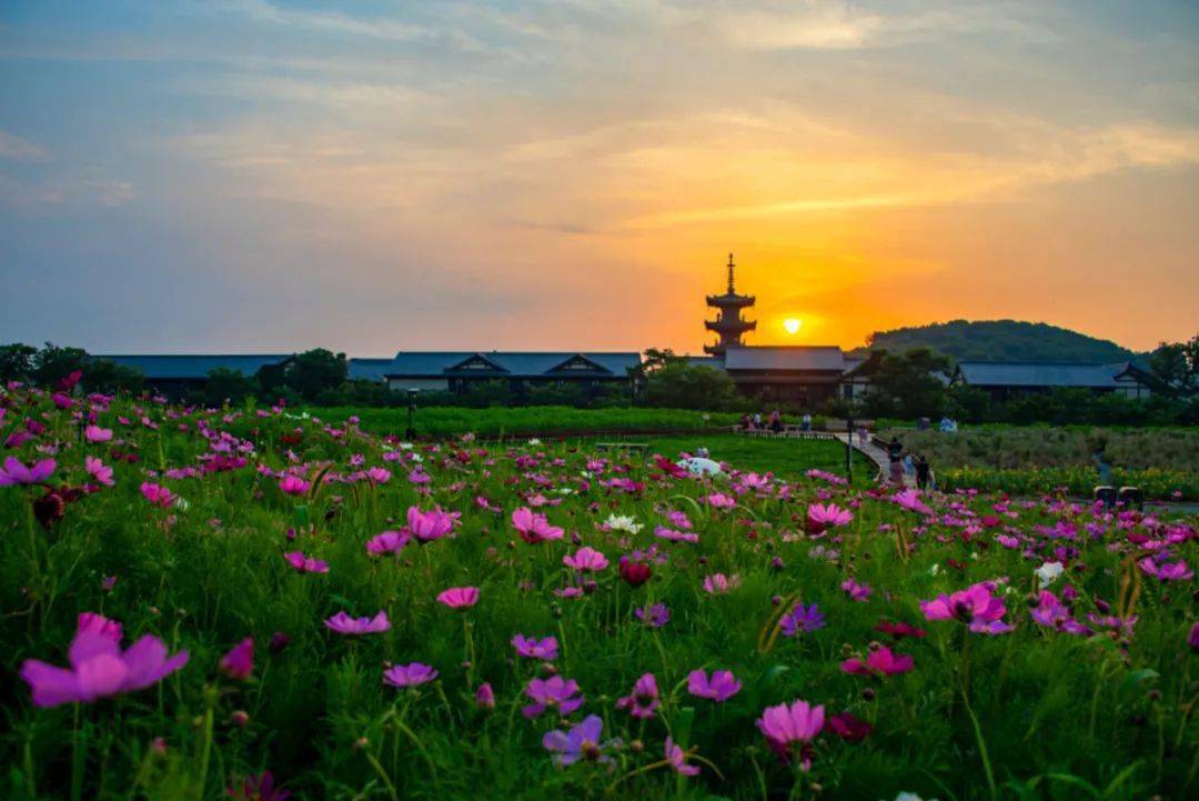 【山水暑期夜遊自組團】首班:7月3日無錫拈花灣日夜雙景純玩休閒遊128