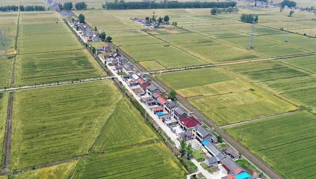 我为群众办实事丨宝应这个村急难愁盼事件件有着落附视频