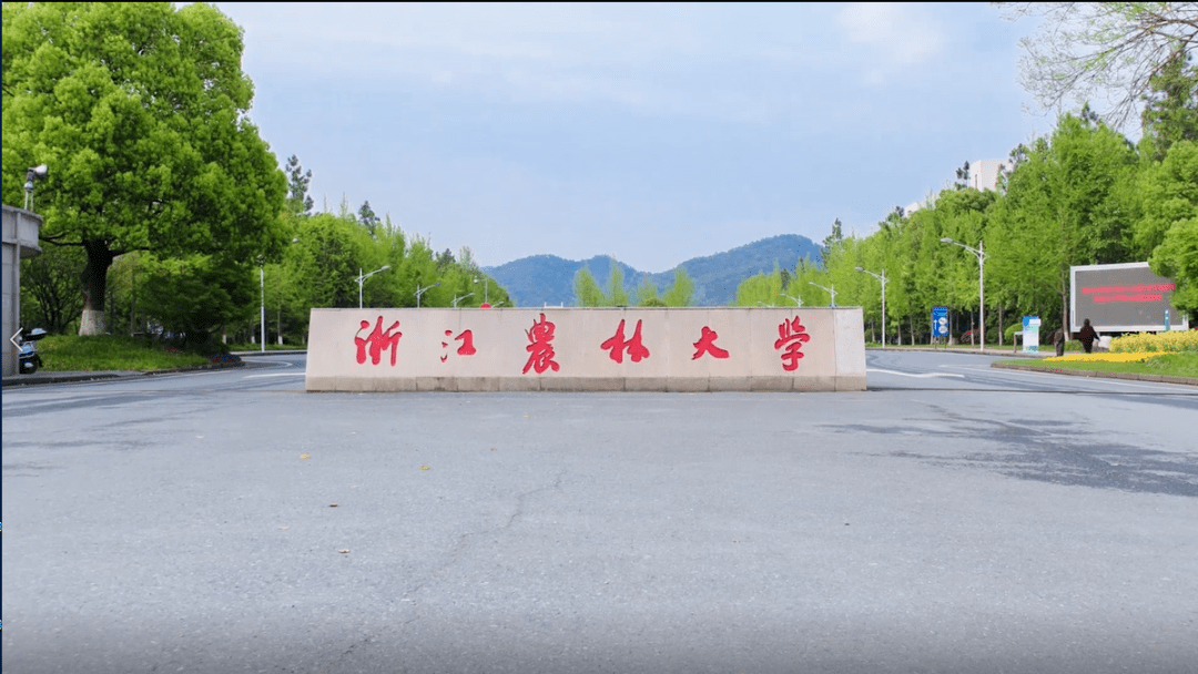 浙江农林大学做完这些事我们真的毕业了