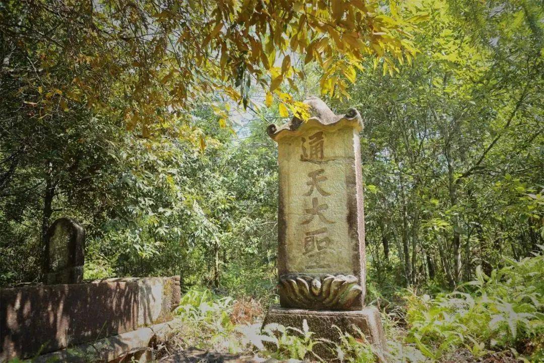 什么齐天大圣要有自己的博物馆了