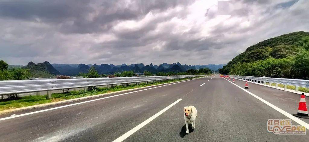 提前体验合山忻城高速风光
