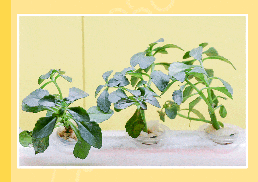 900_635gif 动态图 动图