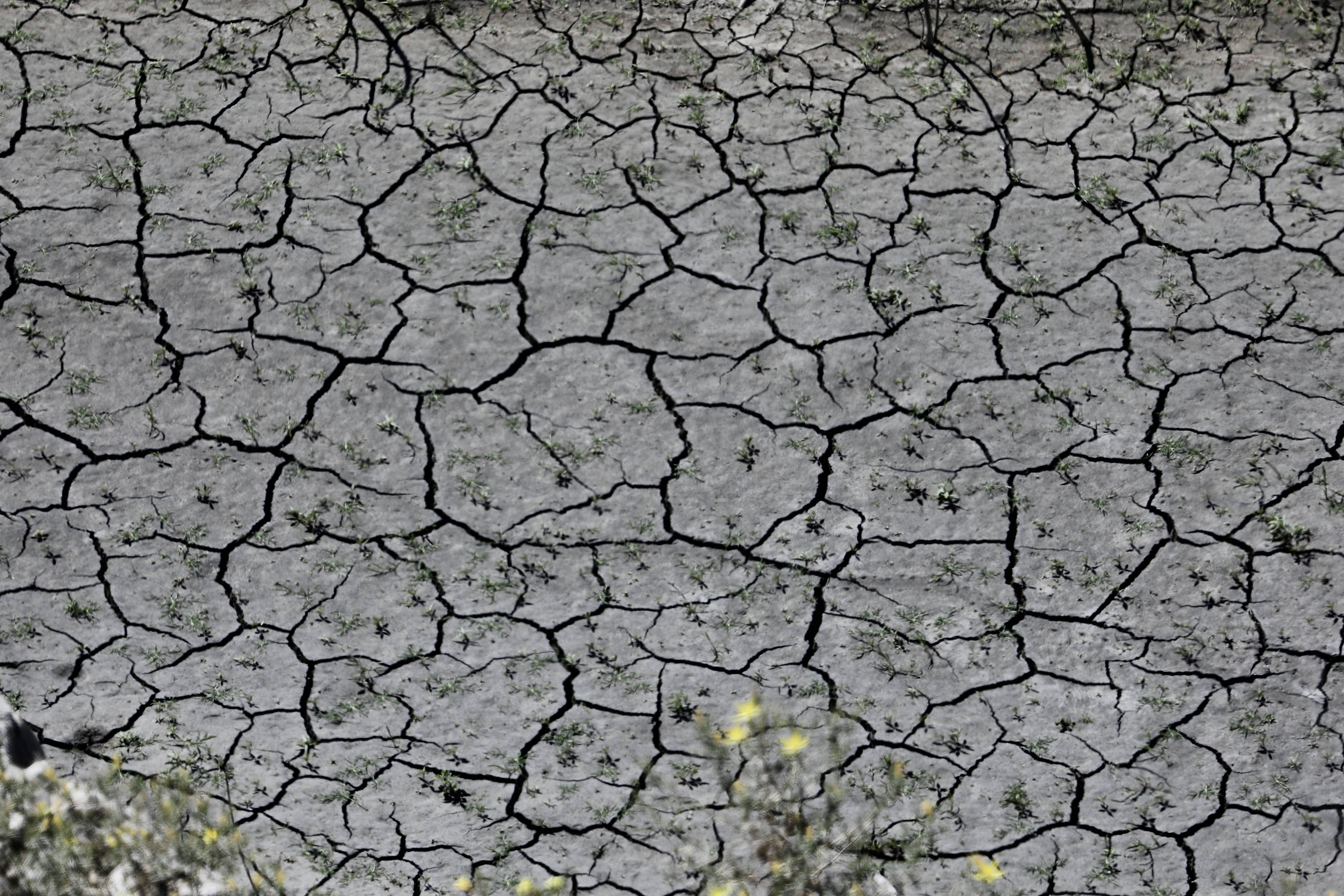 加州干旱图片