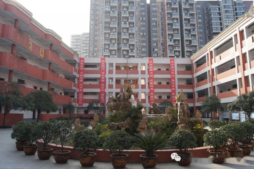 成都三十七中欢迎你