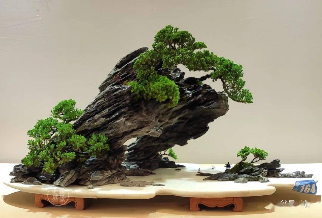 贵州 黔岭幽谷 珍珠柏 ,英德石 贵州省盆景艺术协会 88.00 89.