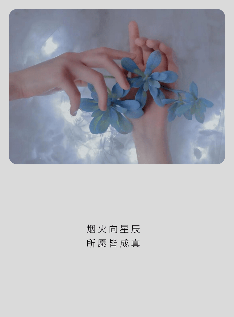 壁纸我不是一开始就这么沉默的