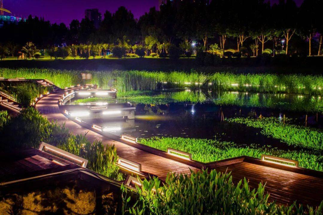 合肥又一亮化工程完工!夜景景观点睛城市文明_公园