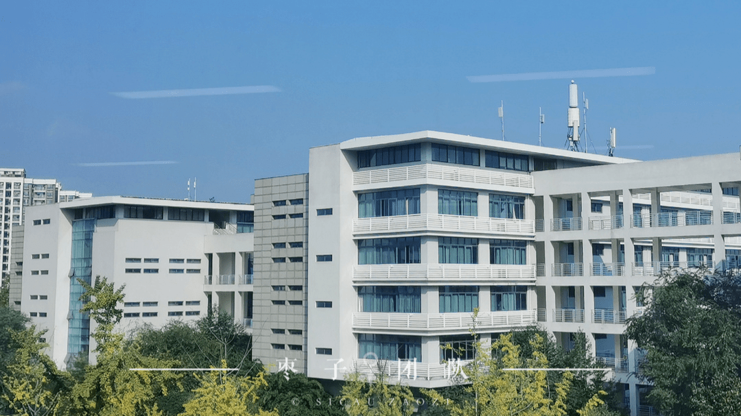 四川农业大学鸟瞰图片