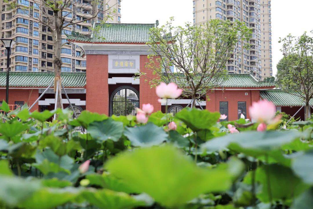 百年执信南沙新校完工师生均已到位9月正式开办