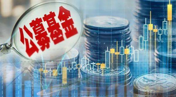 收益超218公募基金今年掀起定增潮近八成项目赚大钱这些明星基金却