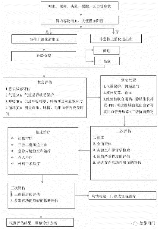 常见急症急救各种流程图(建议收藏)