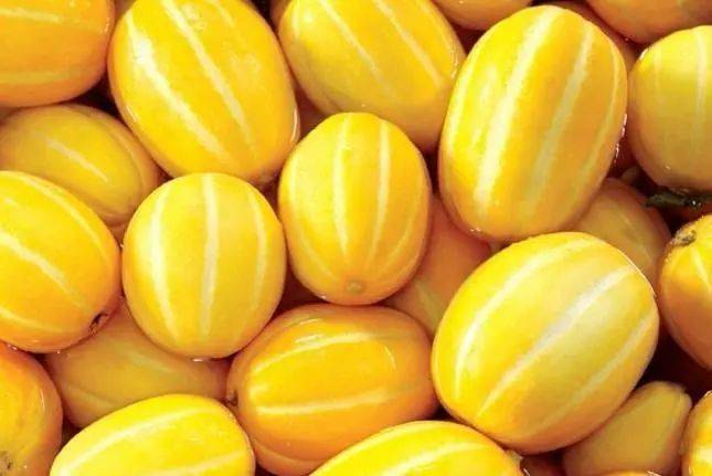 上海人的吃瓜往事从一段神秘代码开始