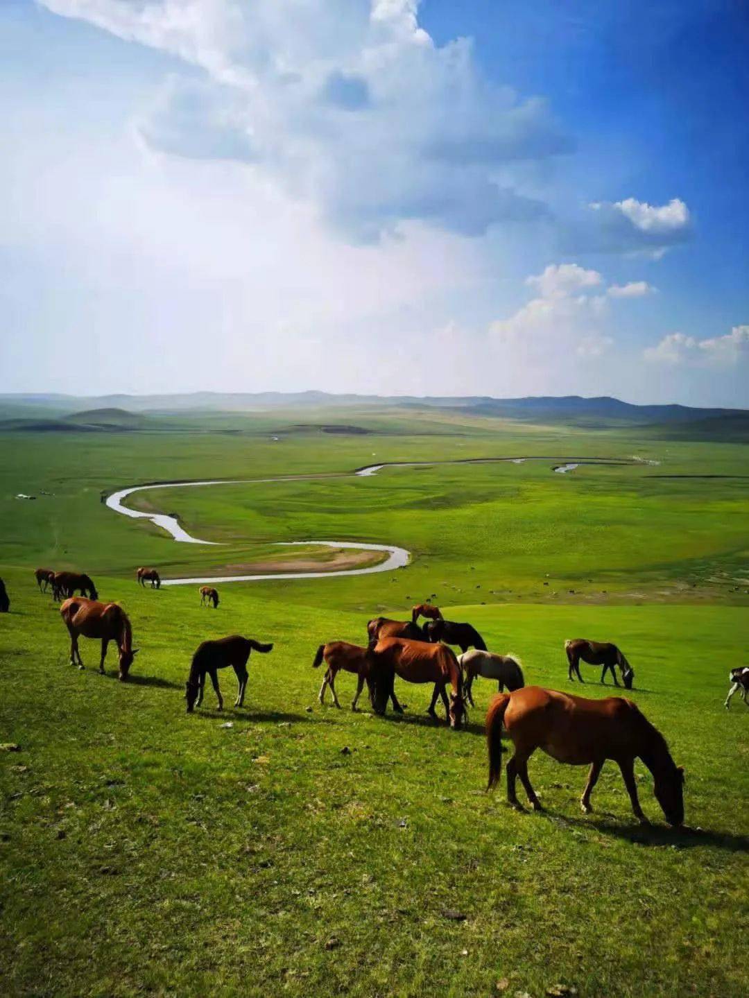 自驾活动夏雪约您去牧云山顶一起喝下午茶