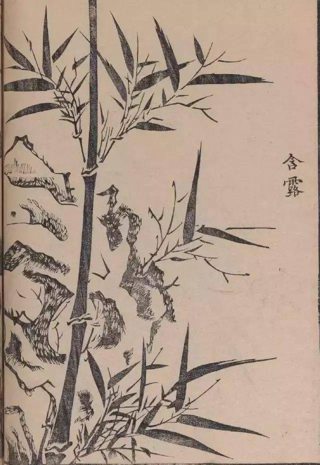 芥子园原版竹谱_画谱