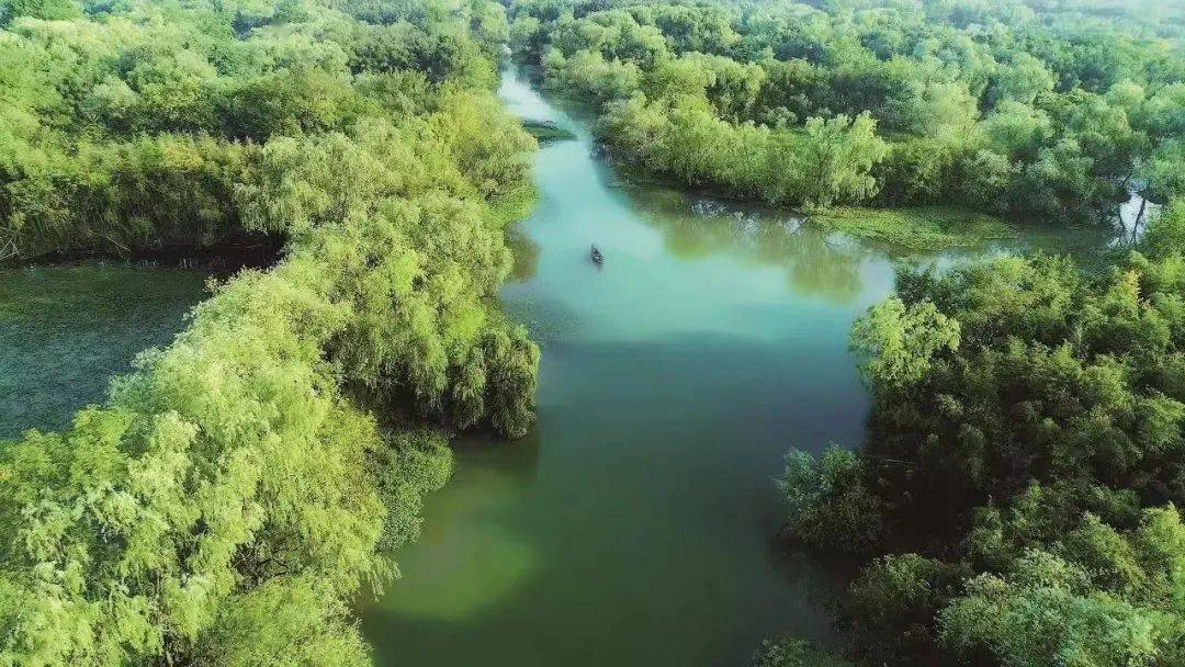 精细环境管理,提升管养水平,扮靓城乡面貌,统筹和睦水乡湿地保护利用