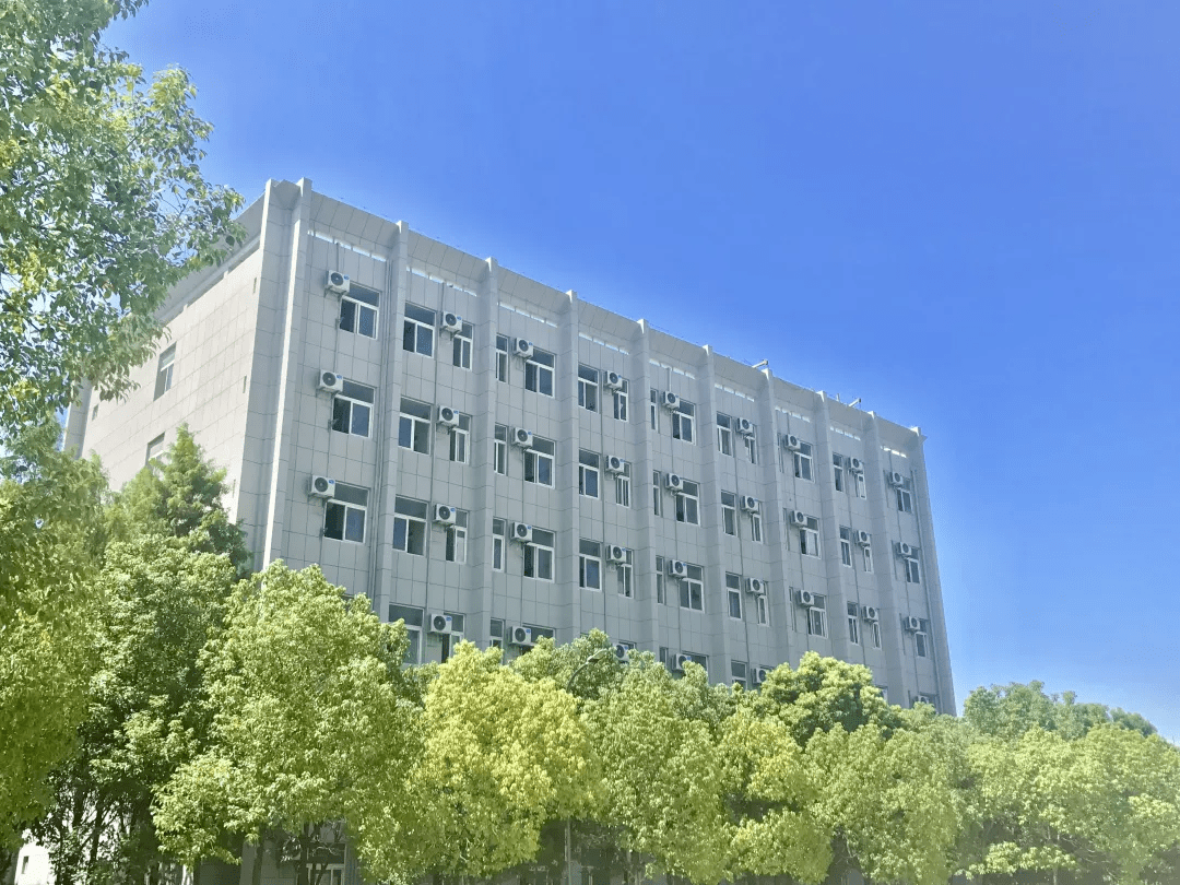 青春c603武信yyds