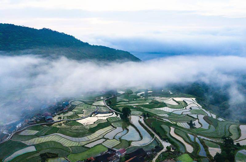 湖南怀化:布村梯田夏日美景 云雾缭绕宛如仙境