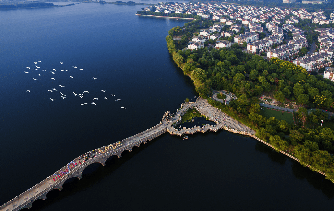 黄埭复兴梦专访相城区黄埭镇党委书记顾敏