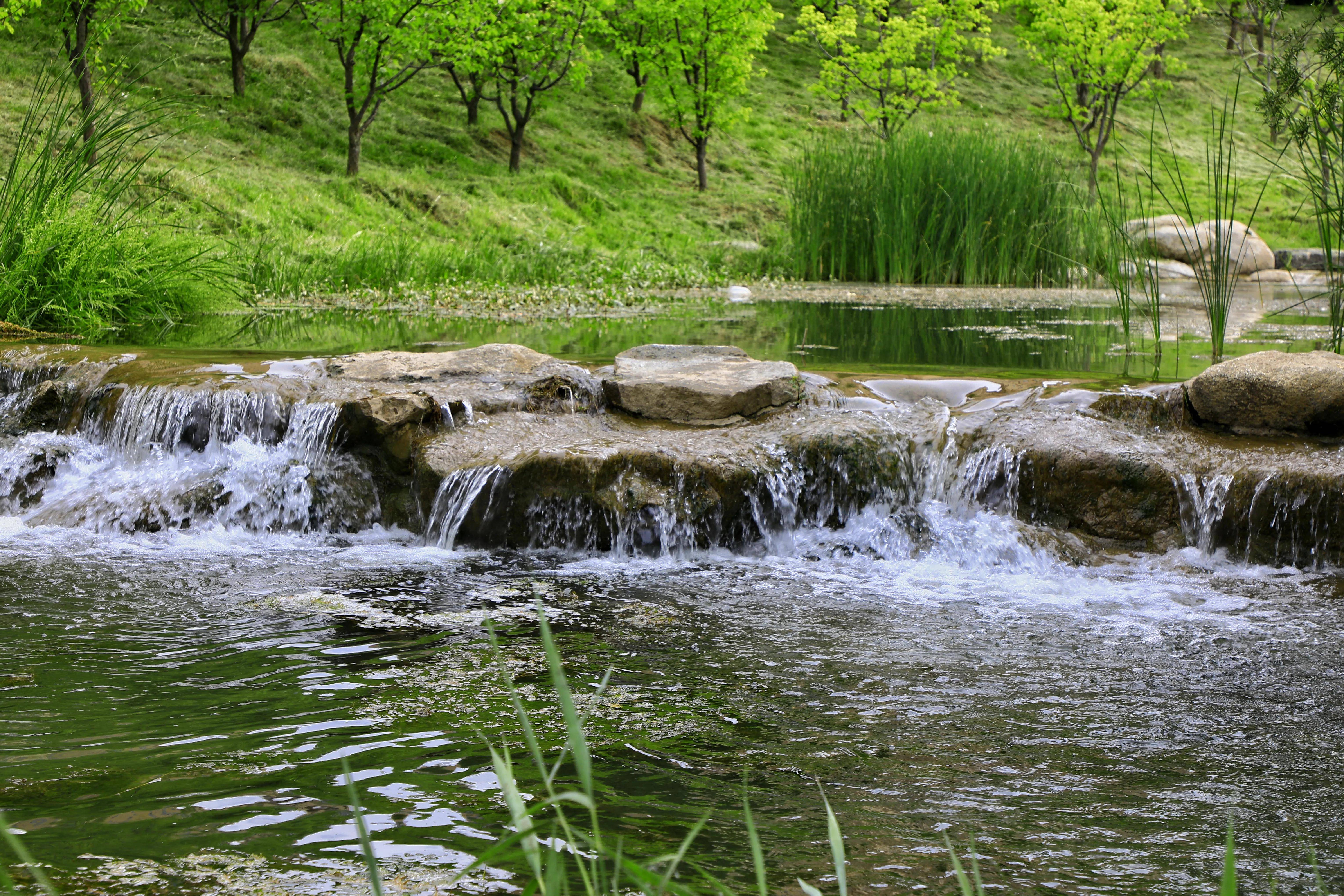 西宁湟水河图片图片