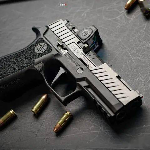 【zev tech美图欣赏】人靠衣装 枪靠换壳