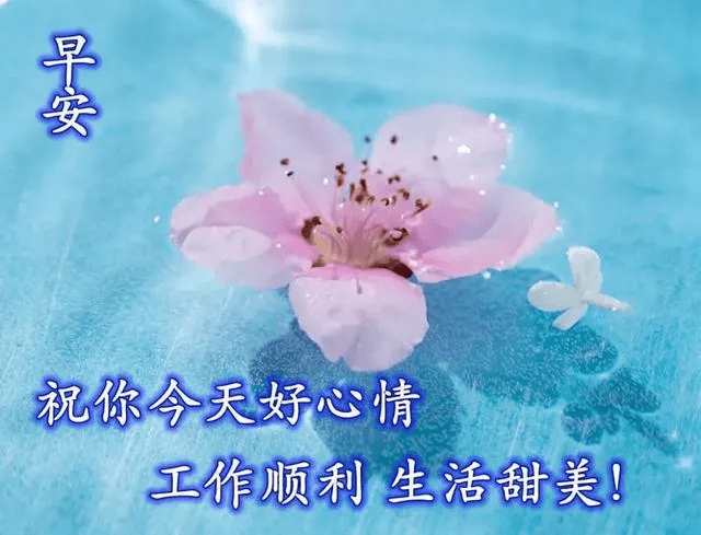 887753fb91fb4a7b8f209a49b0289b20.png