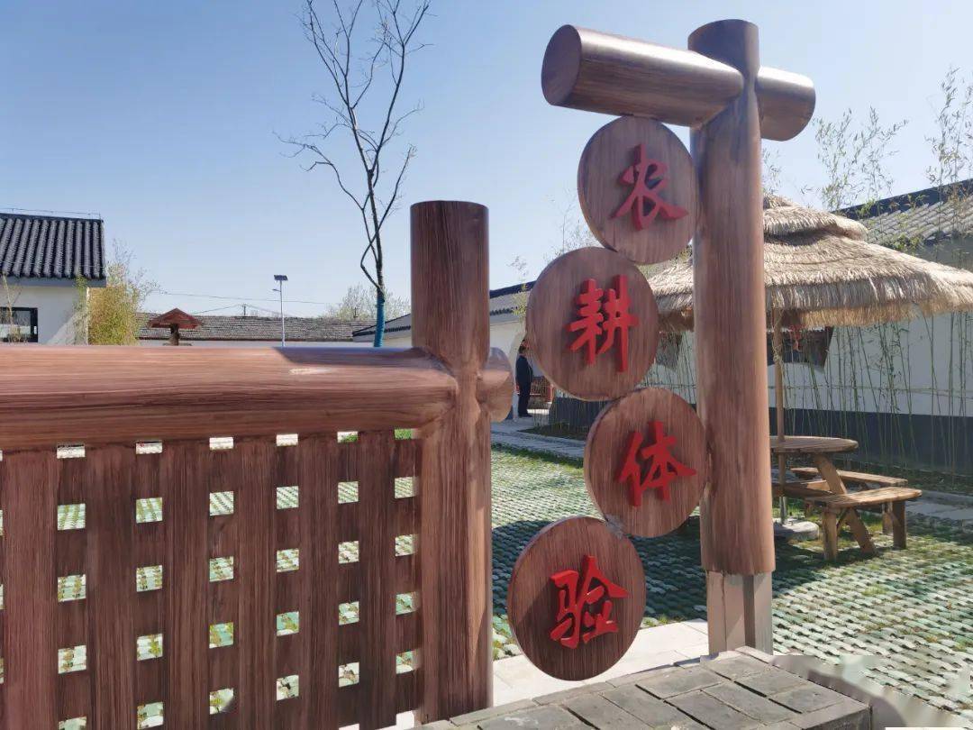 夏日精品旅游线路之:乡村振兴长丰行～～_马郢