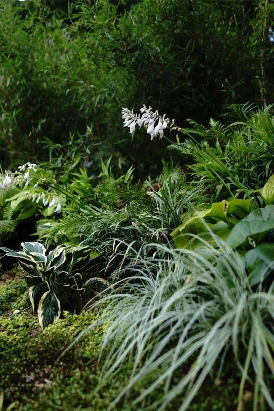 理想|不想带娃，只想躺平？亲子酒店来一波～